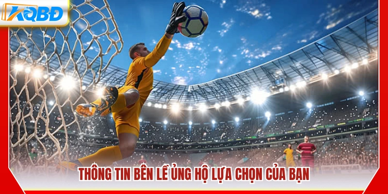 Các yếu tố bên ngoài hỗ trợ quyết định của bạn