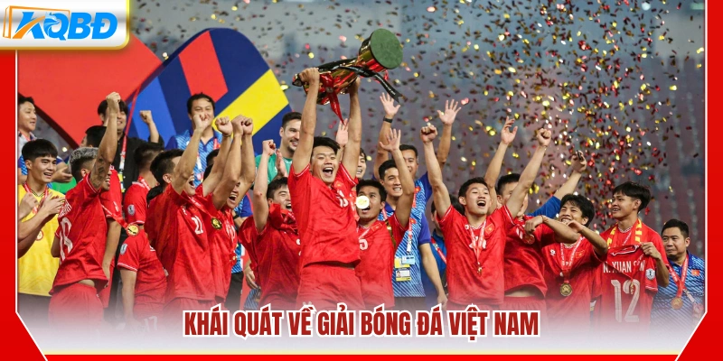 Tổng quan về giải đấu bóng đá Việt Nam